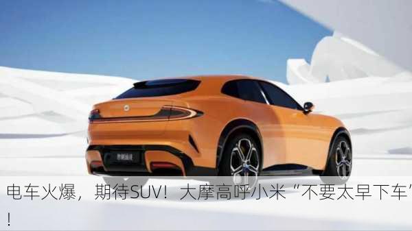 电车火爆，期待SUV！大摩高呼小米“不要太早下车”！-第1张图片-苏希特新能源