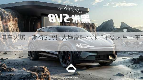 电车火爆，期待SUV！大摩高呼小米“不要太早下车”！-第2张图片-苏希特新能源