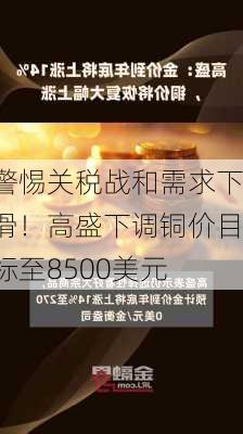 警惕关税战和需求下滑！高盛下调铜价目标至8500美元-第1张图片-苏希特新能源