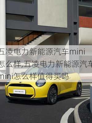 五凌电力新能源汽车mini怎么样,五凌电力新能源汽车mini怎么样值得买吗-第1张图片-苏希特新能源