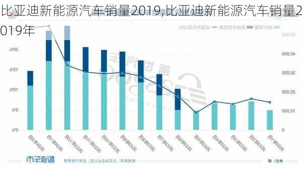 比亚迪新能源汽车销量2019,比亚迪新能源汽车销量2019年-第2张图片-苏希特新能源