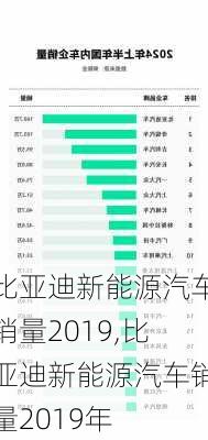 比亚迪新能源汽车销量2019,比亚迪新能源汽车销量2019年-第3张图片-苏希特新能源