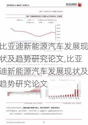 比亚迪新能源汽车发展现状及趋势研究论文,比亚迪新能源汽车发展现状及趋势研究论文-第3张图片-苏希特新能源