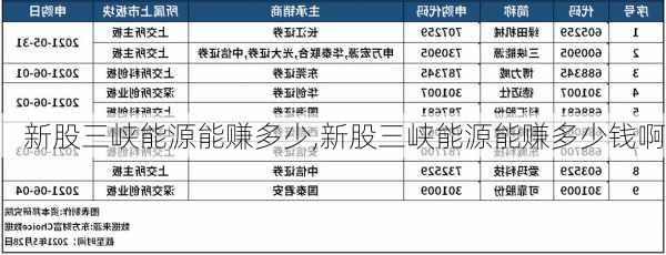 新股三峡能源能赚多少,新股三峡能源能赚多少钱啊-第1张图片-苏希特新能源