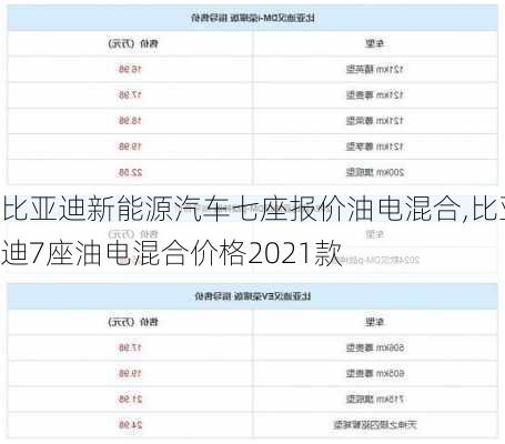 比亚迪新能源汽车七座报价油电混合,比亚迪7座油电混合价格2021款-第2张图片-苏希特新能源