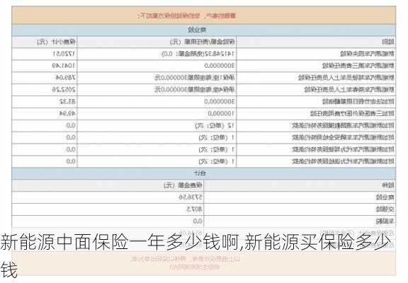 新能源中面保险一年多少钱啊,新能源买保险多少钱-第2张图片-苏希特新能源