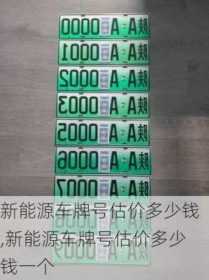 新能源车牌号估价多少钱,新能源车牌号估价多少钱一个-第1张图片-苏希特新能源