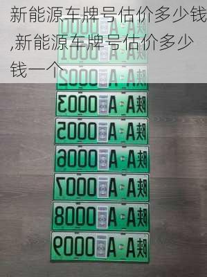 新能源车牌号估价多少钱,新能源车牌号估价多少钱一个-第2张图片-苏希特新能源