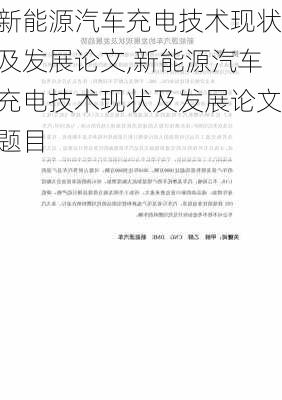 新能源汽车充电技术现状及发展论文,新能源汽车充电技术现状及发展论文题目-第2张图片-苏希特新能源