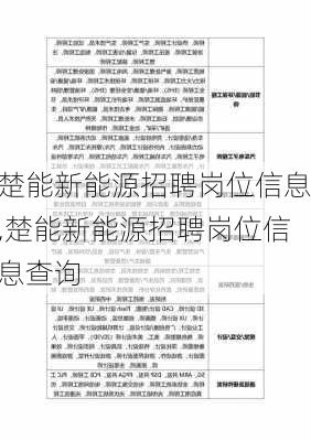 楚能新能源招聘岗位信息,楚能新能源招聘岗位信息查询-第2张图片-苏希特新能源