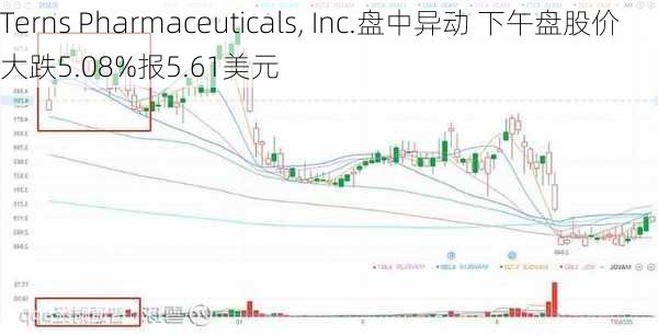 Terns Pharmaceuticals, Inc.盘中异动 下午盘股价大跌5.08%报5.61美元-第2张图片-苏希特新能源