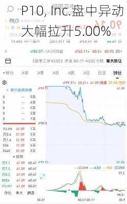 P10, Inc.盘中异动 大幅拉升5.00%-第1张图片-苏希特新能源