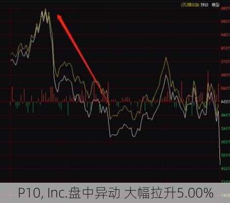 P10, Inc.盘中异动 大幅拉升5.00%-第2张图片-苏希特新能源