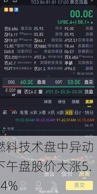 燃料技术盘中异动 下午盘股价大涨5.14%-第2张图片-苏希特新能源