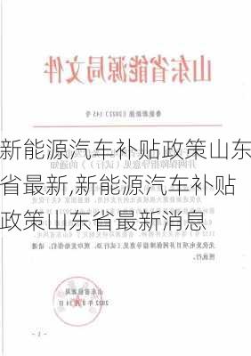 新能源汽车补贴政策山东省最新,新能源汽车补贴政策山东省最新消息-第2张图片-苏希特新能源