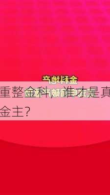 重整金科，谁才是真金主？-第3张图片-苏希特新能源