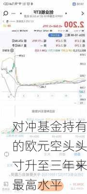 对冲基金持有的欧元空头头寸升至三年来最高水平-第1张图片-苏希特新能源