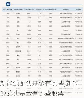 新能源龙头基金有哪些,新能源龙头基金有哪些股票-第2张图片-苏希特新能源