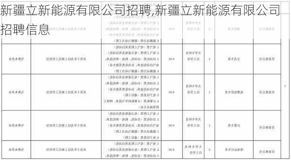 新疆立新能源有限公司招聘,新疆立新能源有限公司招聘信息-第3张图片-苏希特新能源