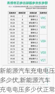 新能源汽车充电电压多少伏,新能源汽车充电电压多少伏正常-第2张图片-苏希特新能源