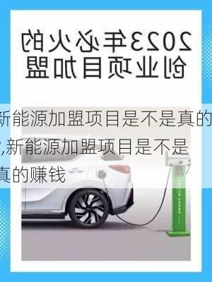 新能源加盟项目是不是真的?,新能源加盟项目是不是真的赚钱-第2张图片-苏希特新能源