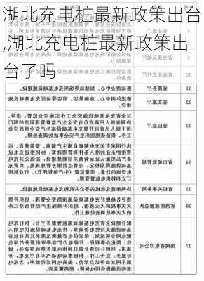 湖北充电桩最新政策出台,湖北充电桩最新政策出台了吗-第3张图片-苏希特新能源