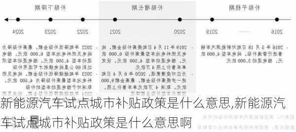 新能源汽车试点城市补贴政策是什么意思,新能源汽车试点城市补贴政策是什么意思啊-第2张图片-苏希特新能源