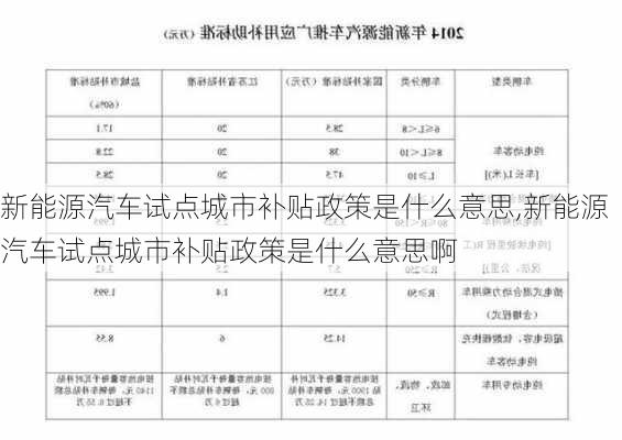 新能源汽车试点城市补贴政策是什么意思,新能源汽车试点城市补贴政策是什么意思啊-第3张图片-苏希特新能源