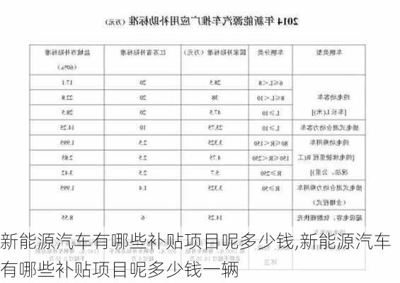 新能源汽车有哪些补贴项目呢多少钱,新能源汽车有哪些补贴项目呢多少钱一辆-第2张图片-苏希特新能源