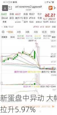 新蛋盘中异动 大幅拉升5.97%