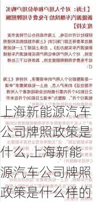 上海新能源汽车公司牌照政策是什么,上海新能源汽车公司牌照政策是什么样的