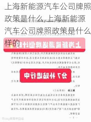 上海新能源汽车公司牌照政策是什么,上海新能源汽车公司牌照政策是什么样的-第3张图片-苏希特新能源