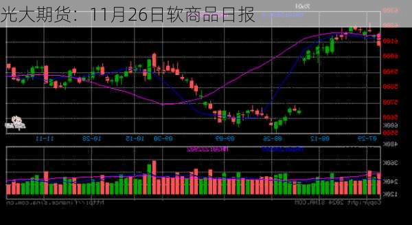 光大期货：11月26日软商品日报