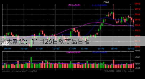 光大期货：11月26日软商品日报-第3张图片-苏希特新能源