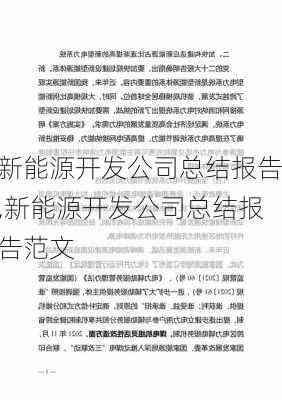 新能源开发公司总结报告,新能源开发公司总结报告范文