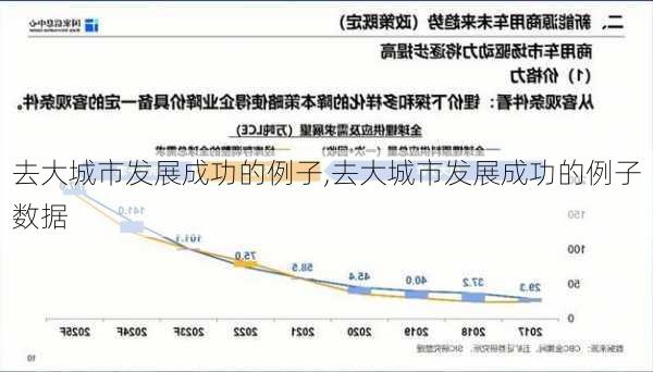 去大城市发展成功的例子,去大城市发展成功的例子数据-第2张图片-苏希特新能源