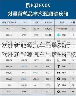 欧洲新能源汽车品牌排行,欧洲新能源汽车品牌排行榜-第2张图片-苏希特新能源