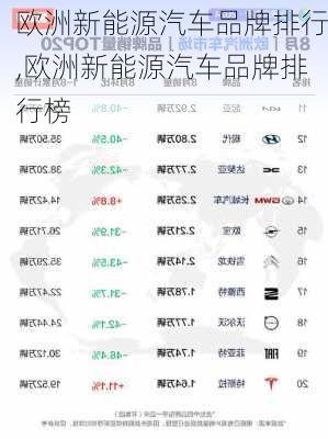 欧洲新能源汽车品牌排行,欧洲新能源汽车品牌排行榜-第3张图片-苏希特新能源