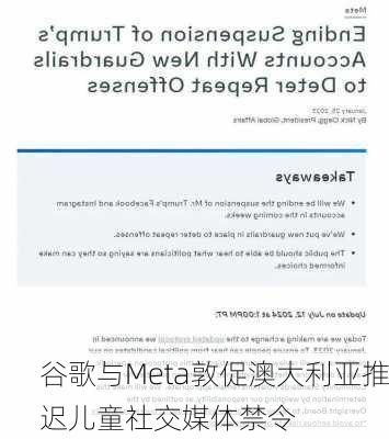 谷歌与Meta敦促澳大利亚推迟儿童社交媒体禁令-第3张图片-苏希特新能源