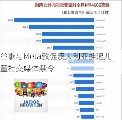 谷歌与Meta敦促澳大利亚推迟儿童社交媒体禁令-第2张图片-苏希特新能源