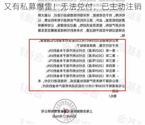 又有私募爆雷！无法兑付，已主动注销-第2张图片-苏希特新能源