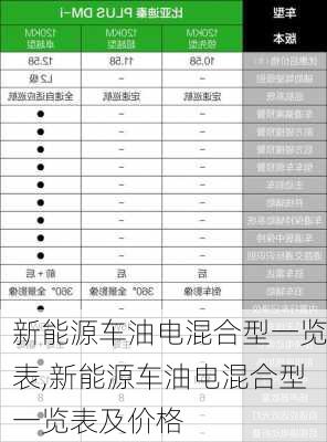 新能源车油电混合型一览表,新能源车油电混合型一览表及价格