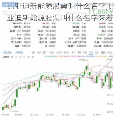 比亚迪新能源股票叫什么名字,比亚迪新能源股票叫什么名字来着