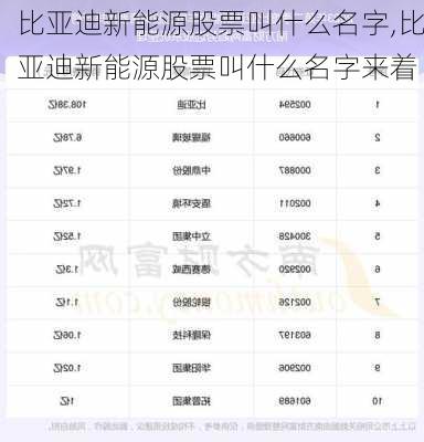 比亚迪新能源股票叫什么名字,比亚迪新能源股票叫什么名字来着-第2张图片-苏希特新能源