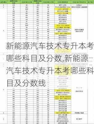 新能源汽车技术专升本考哪些科目及分数,新能源汽车技术专升本考哪些科目及分数线