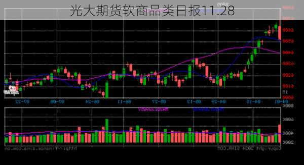 光大期货软商品类日报11.28