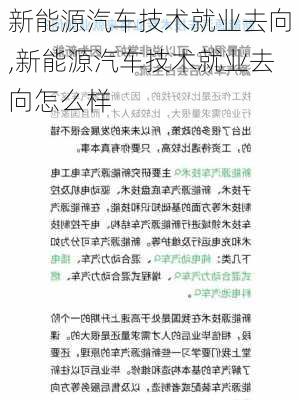 新能源汽车技术就业去向,新能源汽车技术就业去向怎么样-第2张图片-苏希特新能源