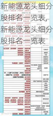 新能源龙头细分股排名一览表,新能源龙头细分股排名一览表-第2张图片-苏希特新能源