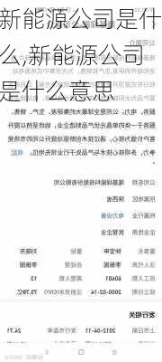 新能源公司是什么,新能源公司是什么意思-第2张图片-苏希特新能源