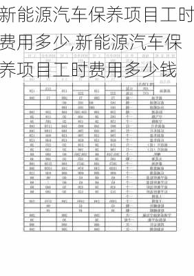 新能源汽车保养项目工时费用多少,新能源汽车保养项目工时费用多少钱-第3张图片-苏希特新能源